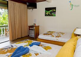 Jacamar Corcovado Drake Day