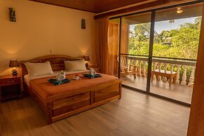 Jacamar Corcovado Drake Day