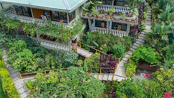 Jacamar Corcovado Drake Day