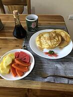 Jacamar Corcovado Drake Day