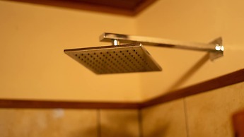 Jacamar Corcovado Drake Day