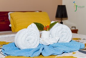 Jacamar Corcovado Drake Day