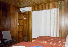 Jacamar Corcovado Drake Day