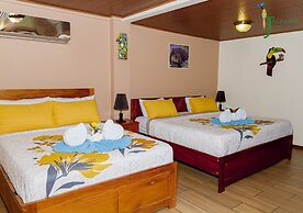 Jacamar Corcovado Drake Day