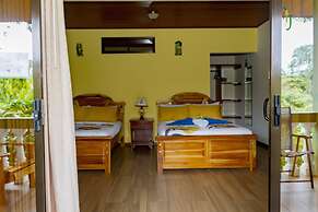 Jacamar Corcovado Drake Day