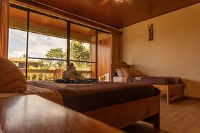 Jacamar Corcovado Drake Day