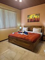 Jacamar Corcovado Drake Day