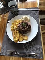 Jacamar Corcovado Drake Day