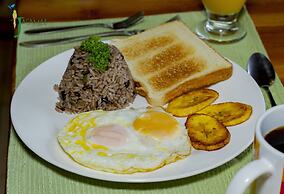 Jacamar Corcovado Drake Day