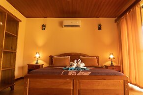 Jacamar Corcovado Drake Day