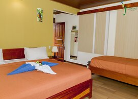 Jacamar Corcovado Drake Day