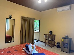 Jacamar Corcovado Drake Day