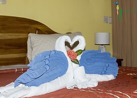 Jacamar Corcovado Drake Day