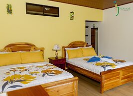 Jacamar Corcovado Drake Day