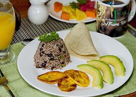 Jacamar Corcovado Drake Day