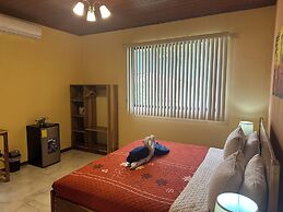 Jacamar Corcovado Drake Day