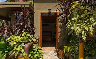 Jacamar Corcovado Drake Day