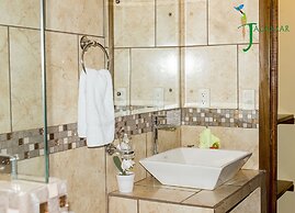 Jacamar Corcovado Drake Day