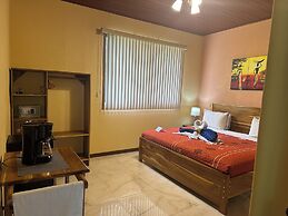 Jacamar Corcovado Drake Day