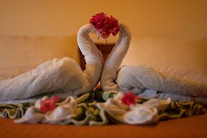 Jacamar Corcovado Drake Day