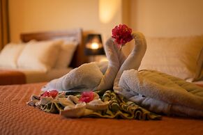 Jacamar Corcovado Drake Day