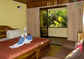 Jacamar Corcovado Drake Day