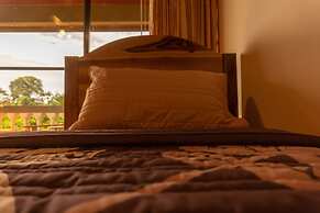 Jacamar Corcovado Drake Day