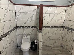 Jacamar Corcovado Drake Day