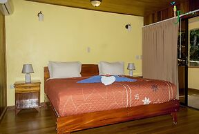 Jacamar Corcovado Drake Day