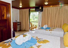 Jacamar Corcovado Drake Day