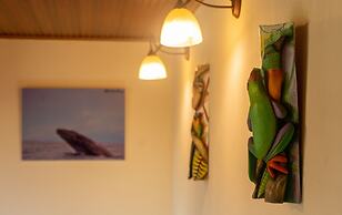 Jacamar Corcovado Drake Day