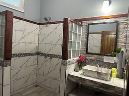 Jacamar Corcovado Drake Day