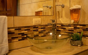 Jacamar Corcovado Drake Day