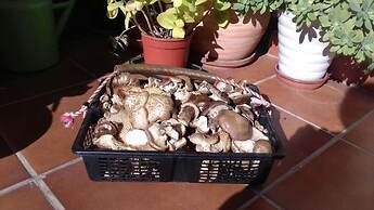 Arroyo Milano Casa Rural