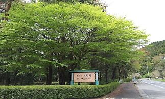 Nikko Toshogu Koyoen