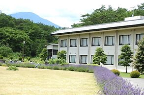 Nikko Toshogu Koyoen