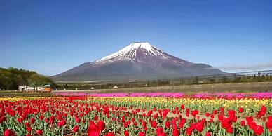 Yamanakako Pension Pause