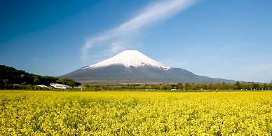 Yamanakako Pension Pause