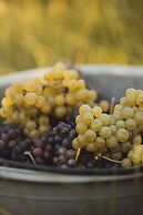 Il Roncal Wine Resort