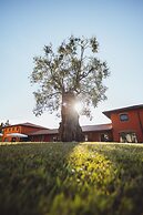 Il Roncal Wine Resort
