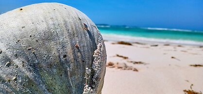 Loedi Bungalows Rote