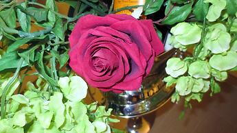 Masseria Corte Masseriola