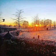 B&B Zandhuizen