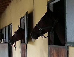 La Cascina del Castello