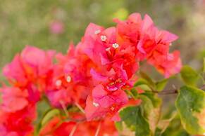 Baypoint Dunns River