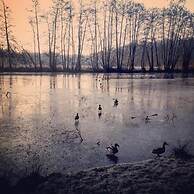 Hotel Wassermuehle Heiligenthal