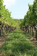 Familienweingut Braun