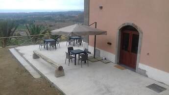 Antico Palmento di Feo Coniglio