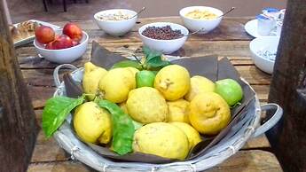 Antico Palmento di Feo Coniglio