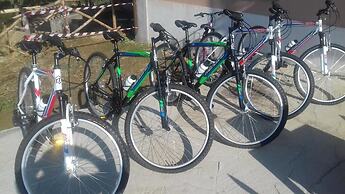 Antico Palmento di Feo Coniglio